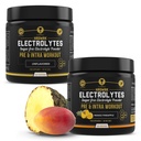HRDWRK - 100 Services Keto Electrolytes pulver Hydration Sukker Gratis - Electrolyte pulver for å øke utholdenhet og redusere tretthet med elektrolyter Supplement - Uslavored & Mango Pineapple sett