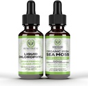 Benevolent klorofyll flytende dråper + Irsk sjø Moss faller 2oz, 4 måneders forsyning flytende klorofyll Supplement for intern deodorizer og strålende hud
