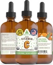 RawGuru organisk vitamin C-tinktur - flytende vitamin C med spormineraler - Nano-processed Antioksidant og immunstøtte Supplement Tinktur - 30 serveringer av vegansk dråper per 120 ml, Pakke med 1