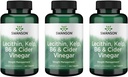Swanson Lecithin Kelp B-6 & Cider Vinegar 240 Tabs (3 pakke)