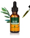 Urt Pharm Certified Organic Olive Leaf Liquid Extract for immunsystemstøtte - 1 Ounce