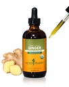 USDA Organic Ginger Root Extract*: Digestion og sirkulerende støtte | Ginger Tinktur for anledningssykdom | Ikke-Bitter Vegansk Digestive Supplement | 4 Oz, opp til 3 måneders forsyning