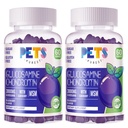 Kjæledyr Purest Glucosamine Chondroitin Gummies med MSM & Elderberry Extra Styrke - Felles støtte, Antioksidant immunstøtte Supplement for voksne, menn og kvinner. (2 Pack) Blueberry