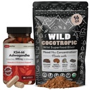 DailyNutra KSM 66 Ashwagandha (90 Kapsler) og Mushroom Cacao Mix (16oz) Bundle for avslapning og fokus