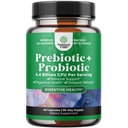 Prebiotika og probiotika Gut Helsetilskudd - Super Potent Digestive Helse Acidophilus Probiotiske kapsler med menn og kvinner Probiotika og Prebiotika for Colon Digestive Support og Immunitet