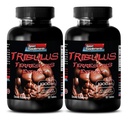 piller for menn sex lang og sterk - TRIBULUS TERRESTRIS EXTRACT 1000MG - MUSCLE STRENGTH, mannlig fertilitet booster, mannlige libido piller, mannlige sex piller, mannlige ekstrautstyr, utholdenhet booster, 2B 120 tabletter
