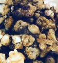 Organic Jerusalem Artichoke Tubers (Helianthus tuberosus) - Sunchokes, Sunroot eller Jerusalem Artichokes for planting eller spising - 5 Tubers by Røyk Camp Crafts