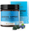 HERBAMAMA Adrenal Support Gummies - Pure Adrenal Complex Supplement for kvinner med Ashwagandha Root, Rhodiola Rosea & Magnesium - Vegansk, ikke-GMO - 60 Pektin-basert Blåbær-Flavored Chews