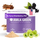 Amla pulver og immunisme blanding supermat Supplement med eldrebær, 20x Ultra konsentrert amla, immun støtte, laget med Ginger, kanel, peppermynte, indisk goosebær, immunisme, 30 serveringer