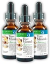 Morter Trace Minerals i Colloidal Suspensjon (3 Pack) Morter HealthSystem Beste prosess Alkaline — Nærende Dense Trace Elements, Fulvic Minerals & Aminosyrer