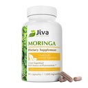 Jiva Botanicals Moringa Leaves Extract Capsules - laget av Moringa Leaf pulver og Oleifera Supplement for immun og normal felles støtte - 90 kapsler (pakke med 1)