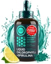 Flytende klorofyll Drops med Spirulina for vann - Full styrke energi, velvære, immunstøtte Supplement - 50 mg klorofyll flytende, 12,5 mg Spirulina - Lemon Flavor Detox Drink - 2oz, 118 Serveringer