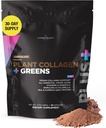 Livingood Daily Plante Collage + Grønn pulver, sjokolade, 5-i-1 kollagen støtte med era protein, Aminosyrer, Spirulina, Klorella & Vitamin C, Håret huden negler støtte, Vegan, 30 serveringer