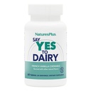 Natures Plus si ja til Dairy - 50 Chewable tabletter - Naturlig Lactase Enzyme Supplement, maksimal styrke Digestive Aid, Laktose Intolerance Relief - Glutenfri - 50 Services