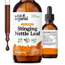 Wild & Organic Stinging Nettle Leaf Extract Dråper - Urin Tract Support - Flytende Stinging Nettle Supplement - Urtica Dioica Tinktur - 2-måneders forsyning - Vegan, sukker og alkohol-fri - 2 fl oz