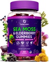Irsk sjø Moss Gummies – Bladderwrack Burdock Root Elderberry Vitamin C & Sink – 60 Vegan Seamoss Gummy Bjørne for voksne Kids Kvinner – Multimineral Elderberry Vitaminer