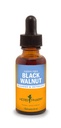 Herb Pharm Svart Walnut flytende ekstrakt for rensing og avgifting - 1 Ounce
