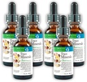 Morter Trace Minerals i Colloidal Suspensjon (6 pakke) Morter HealthSystem Beste prosess Alkaline — Nærende Dense Trace Elements, Fulvic Minerals & Aminosyrer