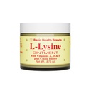 Grunnleggende merker L-Lysine Lip Ointment med Camphor, Menthol, Vitamin A & E, 0,875 oz