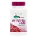 NaturesPlus Herbal Actives Red Yeast Rice 600mg & CoQ10 100mg, Extended Release - 30 Vegan Tabletter - Maksimal potens Supplement, Antioksidant - Vegetarisk, Glutenfri - 30 Services