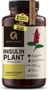Premium Quality Costus Igneus (Insulin Plant) Kapsler - lett å svelge 240 Veggie Capsules (2 måneders forsyning) - laget i USA - inkludert komplett helsestøtte program