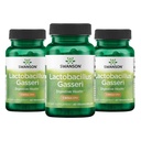 Swanson Lactobacillus Gasseri Probiotic for voksne søker digestiv og metabolisk støtte med 3 milliarder CFU - Acid-Resistant, Ingen kjøleskap (60 vegansk kapsler, 3 pakke)