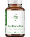 Bacillus Subtilis Spore Basert Probiotic — høy potensstreng med prebiotiske for balansert Belly | Daily Gut Health & Microbiome støtte for familien | 6 milliarder CFU per dag | 90 vegetariske kapsler