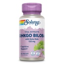 SOLARAY Ginkgo Biloba Ekstrakt med Gotu Kola - Ginko Biloba Capsules for Brain Health Support - Vegan, Lab Verifisert, 60-dagers garanti - 60 Services, 60 Vegkaps (60 Vegkaps)
