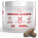 Fadogia Agrestis 1000mg Per Serving Supplement - Potent Ekstrakt å øke energi, Atletisk ytelse og muskelmasse - Kosttilskudd, laget i USA (60 kapsler)