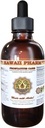 HawaiiPharm Prostate Support Diett: Pygeum (Pygeum Africanum) Bark, så Palmetto (Serenoa Repens) Berry, Stinging Nettle (Urtica Dioica) Leaf Tinktur (Alcohol-basert flytende ekstrakt) 2 oz