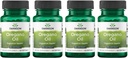 Swanson Oregano Oregano Oil 10:1 Ekstrakt - Naturlig Supplement Fremme Digestive Helse & Respiratorisk Støtte - Støtter Gastrointestinal System & Urin Tract Health - (120 Softgels, 150 mg Hver) (4 Pack)