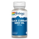 SOLARAY Black Currant frøolje 600 mg - Tilførsel av antioksidanter, Gamma Linolenic Acid (GLA), Alpha Linolenic (ALA) og Linolenic Acid (LA) - Hud Helsestøtte - 60-dagers garanti, 90 Serv, 90 Softgels