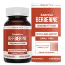 SoActive Berberine 550mg: 9,6X høyere absorpsjon, klinisk studert, optimalisert fytosom | støtter metabolisme og AMPK aktivering | Ikke-GMO, soya-fri | klinisk validert dose | 60 serveringer
