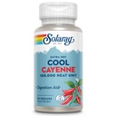 SOLARAY Extra Hot Cool Cayenne 100.000 HU - Tradisjonell folkemedisin og Digestionshjelp - Bio-Cool Prosess - Lab Verifisert, GMP Facility, 60-dagers garanti - 45 Services, 90 Vegkaps