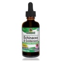 Naturens svar Enchinacea & Goldseal | støtter et sunt immunsystem | Super konsentrert ren ekstrakt | alkoholfri, glutenfri, vegansk og kosher sertifisert 2oz