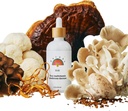 Rainbo - 11:11 Multi Mushroom Tinktur - 11-i-1 Dual Extract Mushroom Blend - Overordnet immunstøtte, Brain Support, Liquid Lion's Mane & Turkey Tail, Vegan, Ikke GMO, 3.4 fl oz