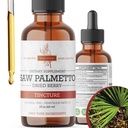 Saw Palmetto Tinkture | Premium alkohol-fri urteekstrakt fra så Palmetto Berries | flytende botaniske kosttilskudd | Tradisjonell Herbal formel | laget i USA - 2 oz (60 ml)