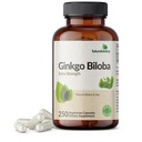 Futurebiotika Ginkgo Biloba Ekstra styrke støtter hjernefunksjon og minnestøtte, 250 vegetariske kapsler