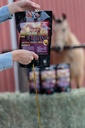 Flaxen Flow 3 L, 100% Flax Seed Oil for hester, rik på Omega-3 og Omega-6 fettsyrer