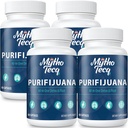 1500 MG Detox og rengjøring, Body Detox for menn og kvinner, Fast Detox, Nyre Rengjøring Detox & Repair, Naturlig Herbal Premium Formula for Liver, Urinal Tract, Digestion & Mood, laget i USA, 240 Caps