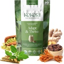 Adapt & Thrive - Energi og stress Resiliens, Organisk Ashwagandha & Cordyceps blanding for å støtte sunn adrenal funksjon kaffe alternativ