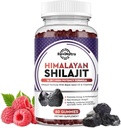 Shilajit Gummies - Himalayan Organic Shilajit Supplement 14-i-1 Kompleks med svart frøolje og ayurvedisk urtblanding, fulvsyre for menn og kvinner - for energi, kognitiv og immunitetsstøtte