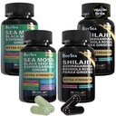 Boysea. Shilajit og sjø Moss Bundle- 90 greve - sjø Moss, svart frøolje, Ashwagandha, Ginger & Shilajit, Rhodiola Rosea, Alle i 1 kosttilskudd (2 stk)