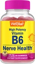 WellJah høy potens Vitamin B6 Gummies - fremmer Nerve Helse, Kognitiv funksjon, Mood Regulation, Immunstøtte og kardiovaskulær Helse - Vegan, ikke-GMO, Glutenfri - 60 greve