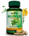 KIKI Grønn Mullein Leaf Extract Capsules - Vegansk Herbal Supplement - for Lung Cleanse, Støtte, Bedre pustende, Immunfunksjon - 1000mg 45 Serveringer - 90 Count