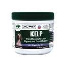 Dogzymes Organic Norwegian Kelp for Kjæledyr, en verdifull næringskilde som er rik på iodine for å støtte Gland funksjon, spesielt Thyroid (12 Ounce)