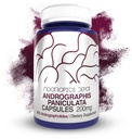 Andrographis paniculata Kapsler | 200 mg | 60 greve | 50% Andrographolides | Støtter immunfunksjon | Støtter cellefunksjon