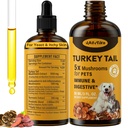 Tyrkia Tail Mushroom for hunder - raskere absorpsjon 2000mg Tyrkia Tail Mushroom for immun & Digestive, Joint, Energi, 5X Mushrooms for Pet Drop med Turmeric & Probiotic - Vet Formulert, 90 ML/3FL.oz