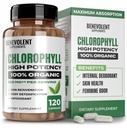 Benevolent klorofyll Kapsler 350 mg - 100% naturlig + Ultra klorofyll 20x Potens Konsentrasjon for energiforsterkning, immunstøtte, intern deodorant, hudhelse, ikke-GMO, 120 kapsler