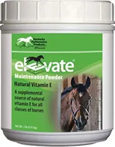 Kentucky ytelse Prod 044097 heve vedlikehold pulver supplement for hester, 2 lb